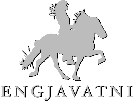 image-8775365-GdG_Logo_Engjavatni.png